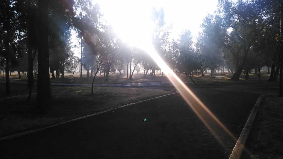 Circuito peatonal en el Bosque de San Juan de Aragon